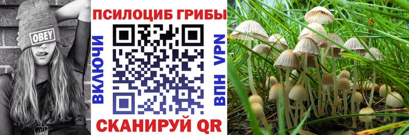 Галлюциногенные грибы мухоморы закладки Боровск